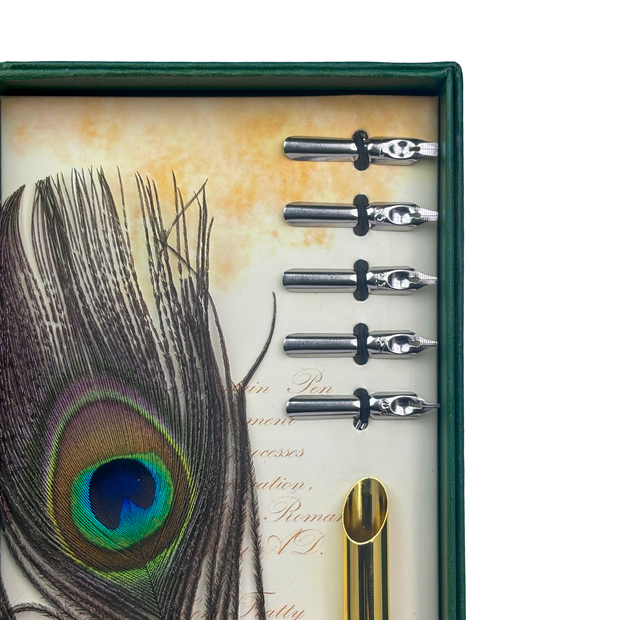 Peacock Feather Calligraphy Pen Set